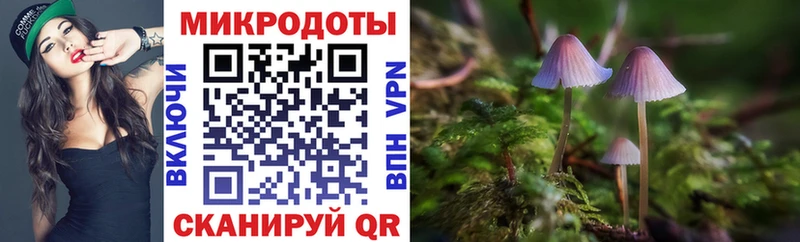 даркнет сайт Шенкурск Галлюциногенные грибы MAGIC MUSHROOMS