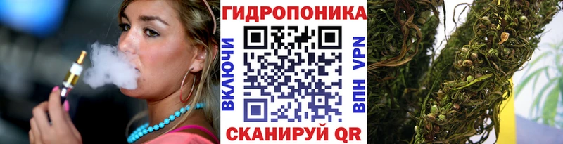Шишки марихуана ГИДРОПОН  хочу   Шенкурск 
